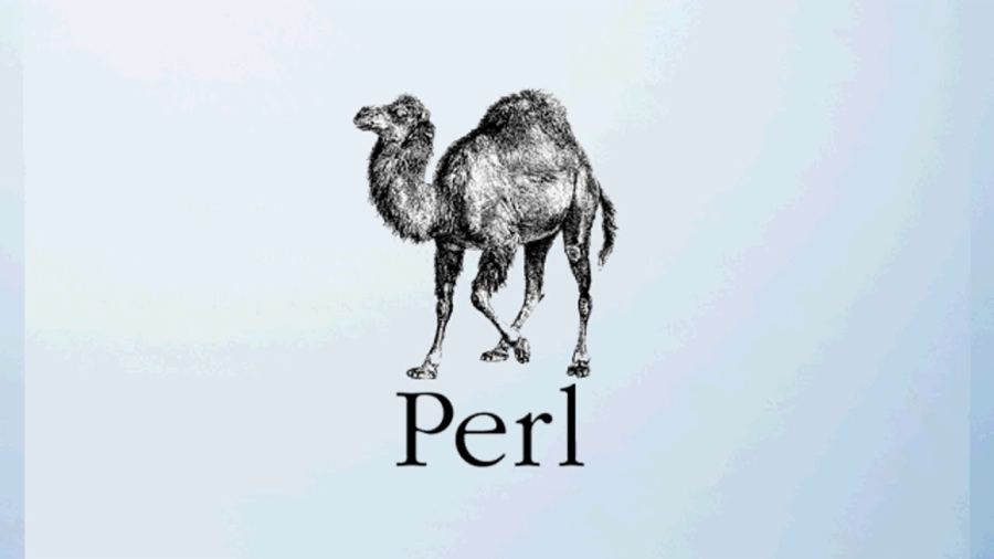 Perl Programming Language: Features, Uses, and Benefits